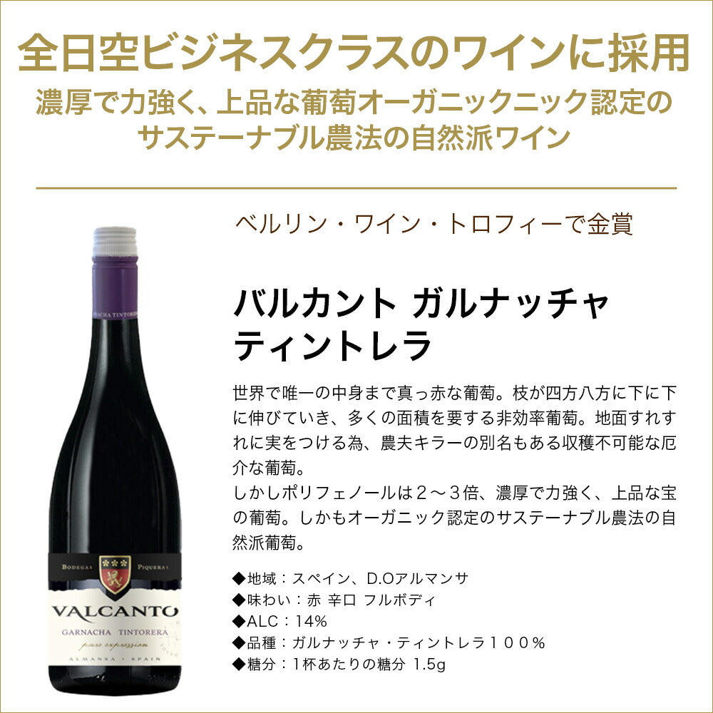 【送料無料】ワイン セット スペインワイン厳選10本絶品の長期熟成グランリゼルバ2本入り!【北海道・東北・四国・九州・沖縄県は必ず送料がかかります】
