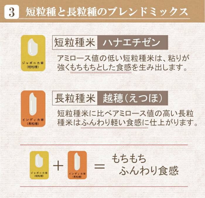 【期間限定セール】米粉 減農薬栽培米 国産 福井県産 900g 食パン用 料理用 吸水量低い 超微粉 短粒種と長粒種のブレンドミックス 無添加 米粉パン グルテンフリー きぼうの米粉 こめ粉 米粉パウダー ライスパウダー クッキー うどん パンケーキ