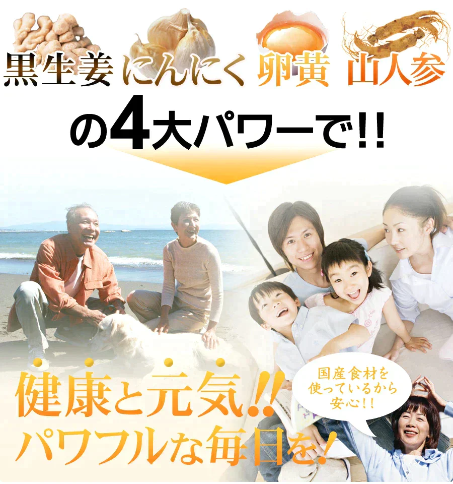 【100円シェア買い】【約１ヶ月分】黒生姜入りにんにく卵黄+山人参カプセル《約1ヶ月分》  サプリ/にんにくサプリ【ご新規さんとシェア買い】