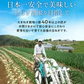【超シェア買い祭】【送料無料】淡路島玉ねぎ 3キロ［Sサイズ～2Lサイズお任せ］＃訳ありたまねぎ3kg＃