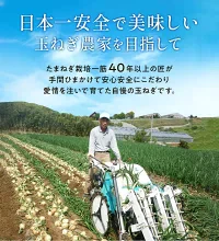 【超シェア買い祭】【送料無料】淡路島玉ねぎ 3キロ［Sサイズ～2Lサイズお任せ］＃訳ありたまねぎ3kg＃