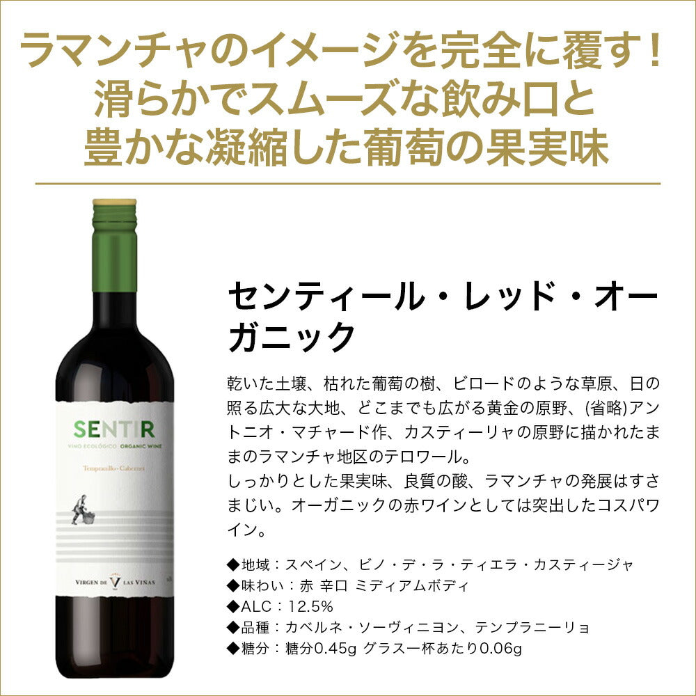 【送料無料】ワイン セット スペインワイン厳選10本絶品の長期熟成グランリゼルバ2本入り!【北海道・東北・四国・九州・沖縄県は必ず送料がかかります】
