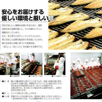 【先着30購入限定】【1人前1670円！】うなぎの白焼き4尾
