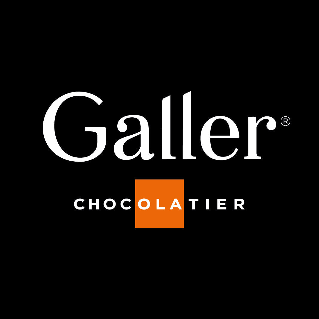 ガレー　チョコレートアイスパルフェ６個　GL-P