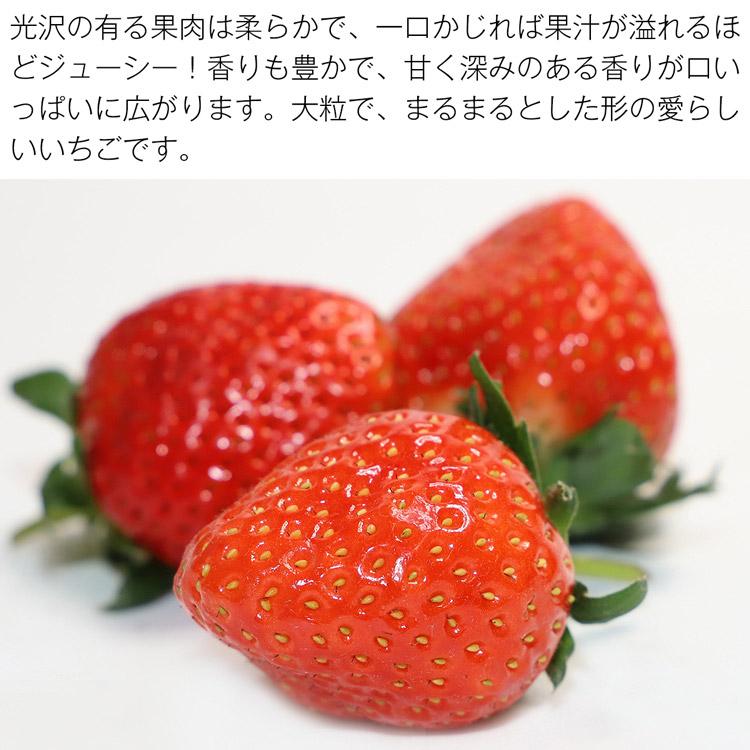 【※使わない方】さぬきひめ いちご 2パック 合計約520g 香川県産