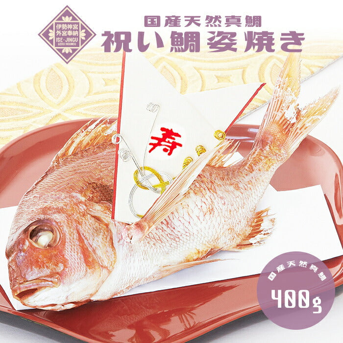 ★非掲載★お食い初め 鯛【伊勢神宮外宮奉納 祝い鯛姿焼き（400g）】国産天然真鯛　初節句 雛祭り 贈り物 尾頭付き 姿焼き 塩焼き 鯛めしレシピ付