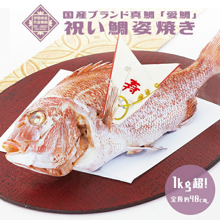 ★非掲載★お食い初め 鯛 【伊勢神宮外宮奉納 祝い鯛姿焼き（1kg）】国産最高級ブランド真鯛 初節句 ひな祭り 贈り物 尾頭付き 姿焼き 塩焼き 鯛めしレシピ付