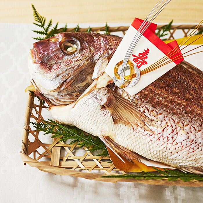 伊勢神宮外宮奉納 祝い鯛姿焼き(1kg)