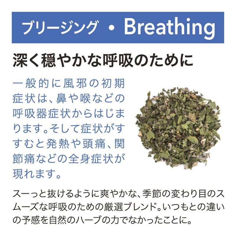 ★非掲載★【HERB BREWER】ハーブティー 7種類セット 贈り物 ギフト ハーブ 紅茶 簡単 手軽 ブレンド オーガニック ポット 急須 注ぐだけ ローズヒップ タイム ペパーミント セージ ジンジャー レモングラス シナモン カモミール ラベンダー スペアミント ダンデライオン ※代品不可