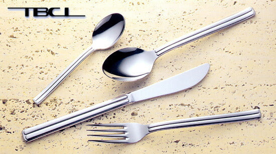 燕物産 18-8ステンレス サクセス ティースプーンセット5pc 014027T5P 「TBCL」