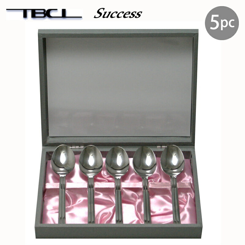 燕物産 18-8ステンレス サクセス ティースプーンセット5pc 014027T5P 「TBCL」