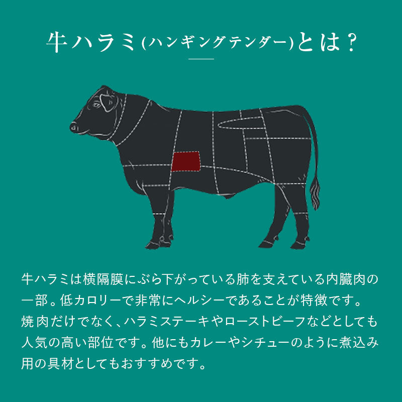 【100人シェア買い企画】冷凍牛ハラミ 約6kg