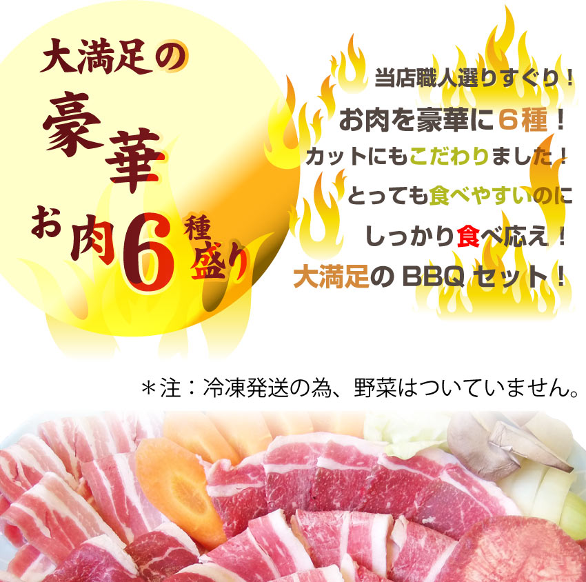 バーベキュー メガ盛り セット 冷凍たっぷり6～8人前 福袋 （ 総重量 2.1kg ）