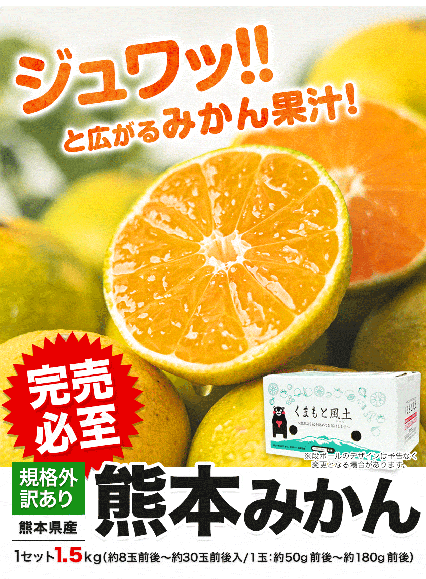訳あり 熊本 みかん 1セット 1.5kg 温州 家庭用（10月中旬-11月上旬頃より発送予定）