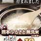 無洗米 10kg (5kg ×2袋)  熊本県産 令和3年産 ひのひかり 7割使用