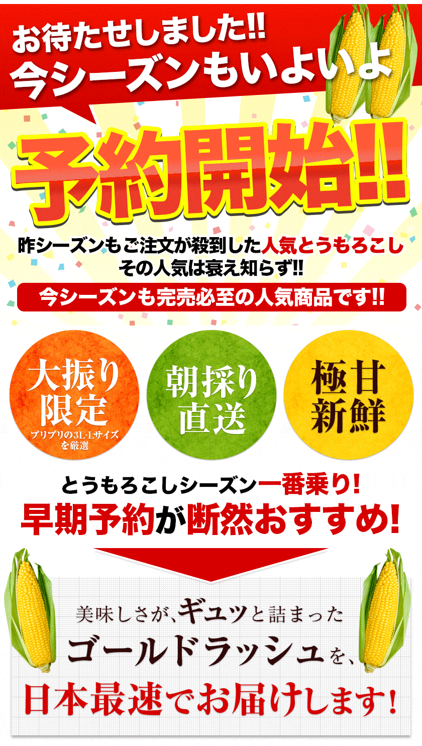 日本最速級6月中出荷 とうもろこし ゴールドラッシュ 7本入り (3L~L サイズ)