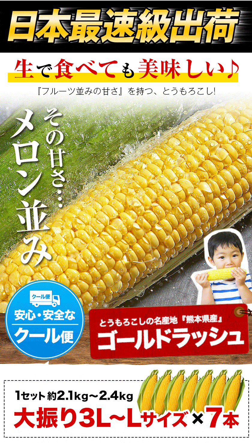 日本最速級6月中出荷 とうもろこし ゴールドラッシュ 30本入り (3L~L サイズ) 約9.0kg～約10.5kg メロン並の甘さ 朝採り 生で食べられる トウモロコシ スイートコーン お取り寄せ