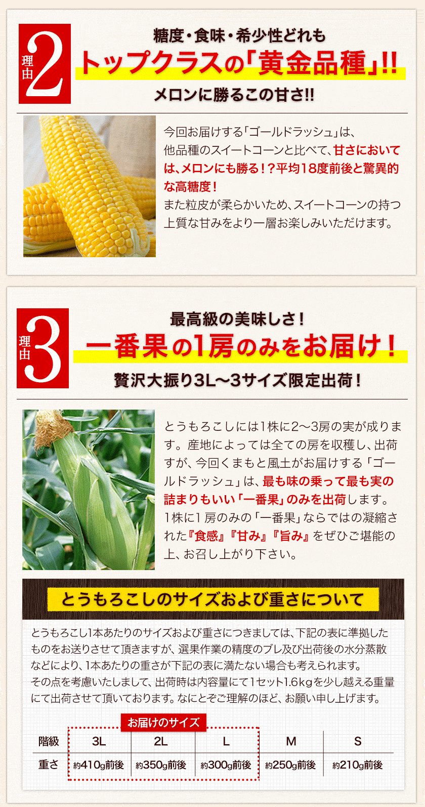 日本最速級6月中出荷 とうもろこし ゴールドラッシュ 7本入り (3L~L サイズ)  コーン 朝採り 生で食べられる スイートコーン お取り寄せ お取り寄せグルメ