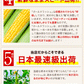 日本最速級6月中出荷 とうもろこし ゴールドラッシュ 7本入り (3L~L サイズ)  コーン 朝採り 生で食べられる スイートコーン お取り寄せ お取り寄せグルメ
