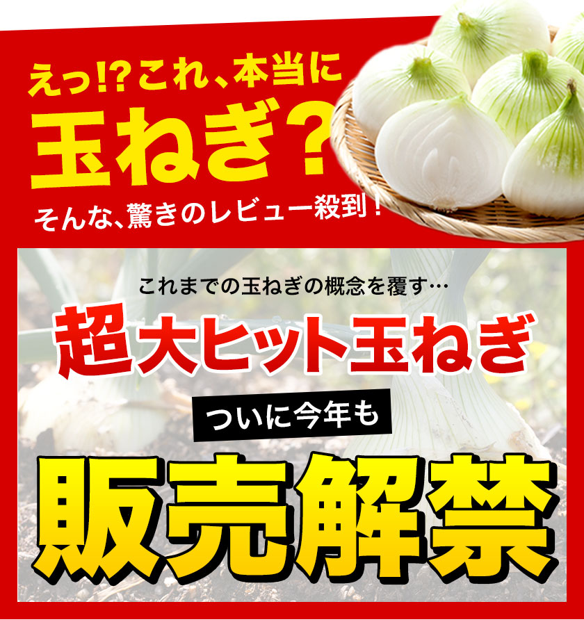熊本県産 訳あり 塩たまちゃん 玉ねぎ たまねぎ 5kg 【5L-2Sサイズ不選別】 子出藤 (ねでふじ)