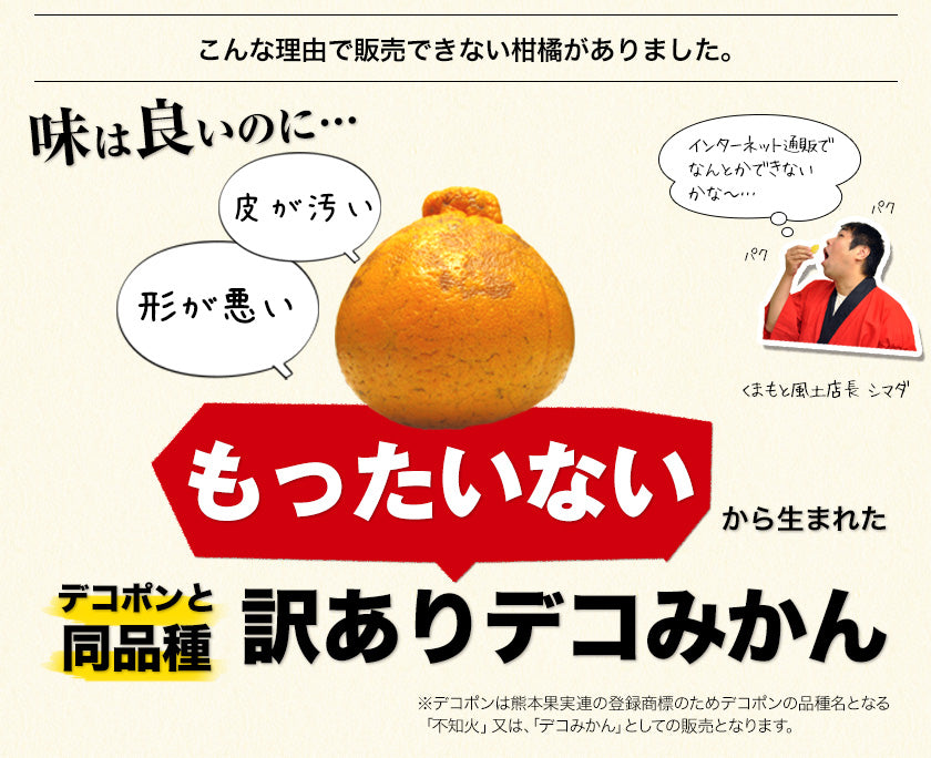 訳あり デコみかん 4kg