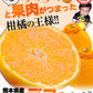 訳あり デコみかん 4kg