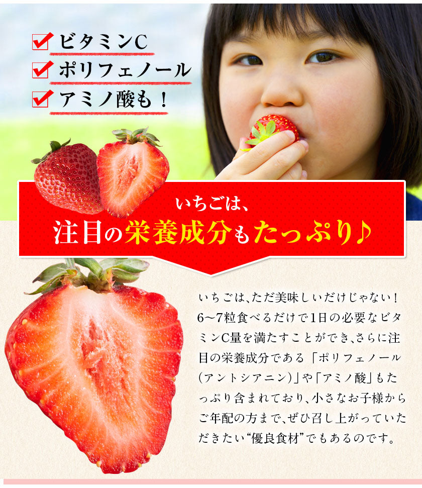 冷凍 博多あまおう 約400g(約200g×2袋)