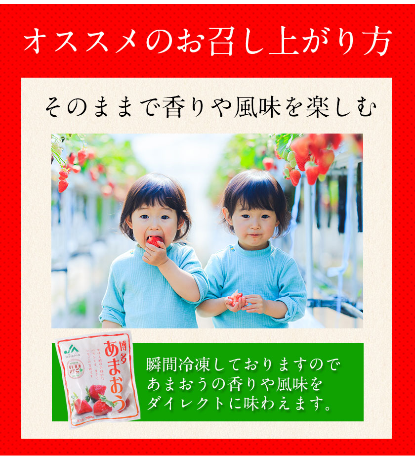 冷凍 博多あまおう 約400g(約200g×2袋)