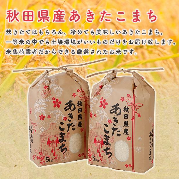 【限定30セット特別価格】新米！ 精米20ｋｇ 秋田県産　あきたこまち20ｋｇ 5ｋｇ×4袋　令和3年産　一等米　厳選 されたおいしいお米　米びつ当番天鷹唐辛子プレゼント付き
