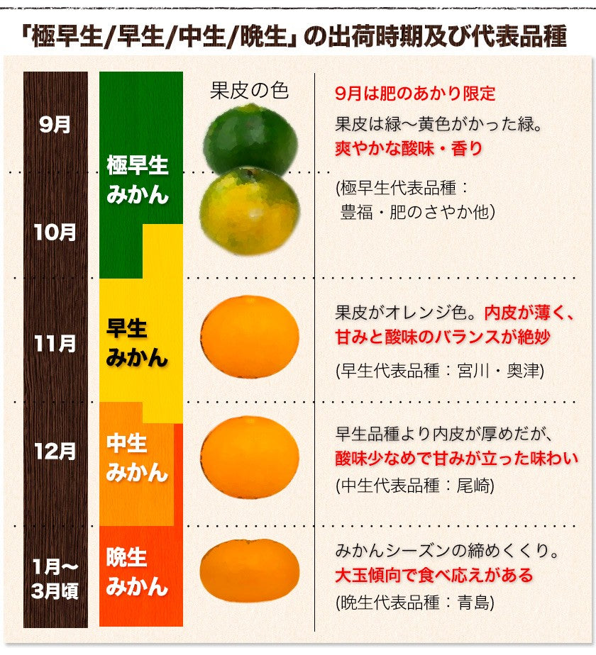 大粒 みかん 訳あり 4kg