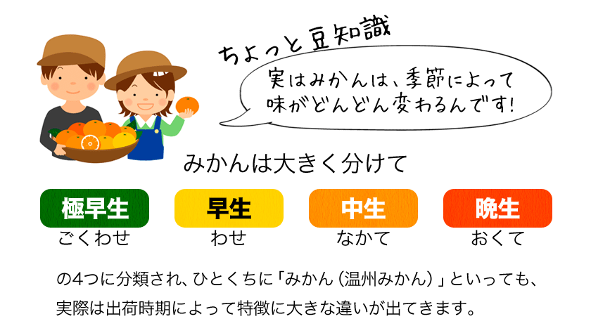大粒 みかん 訳あり 4kg