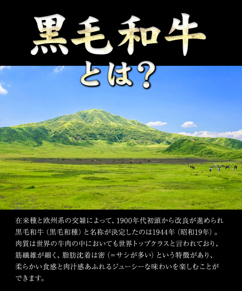 九州産 黒毛和牛 クラシタ 500g 霜降り 肉 牛肉 スライス