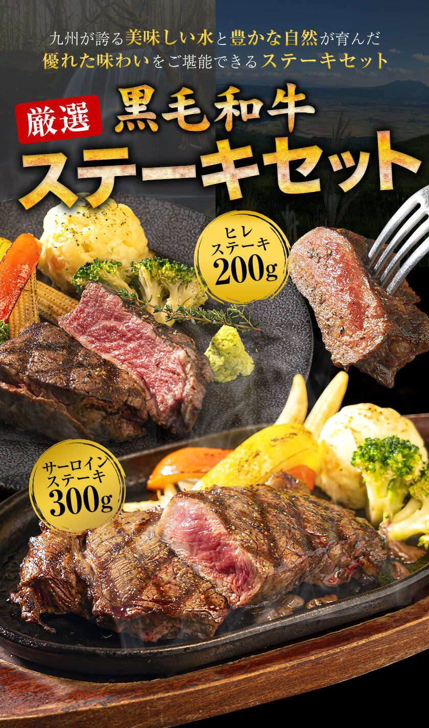 九州産黒毛和牛 厳選ステーキセット ヒレ200g サーロイン300g フードロス 食品ロス 削減支援 送料無料