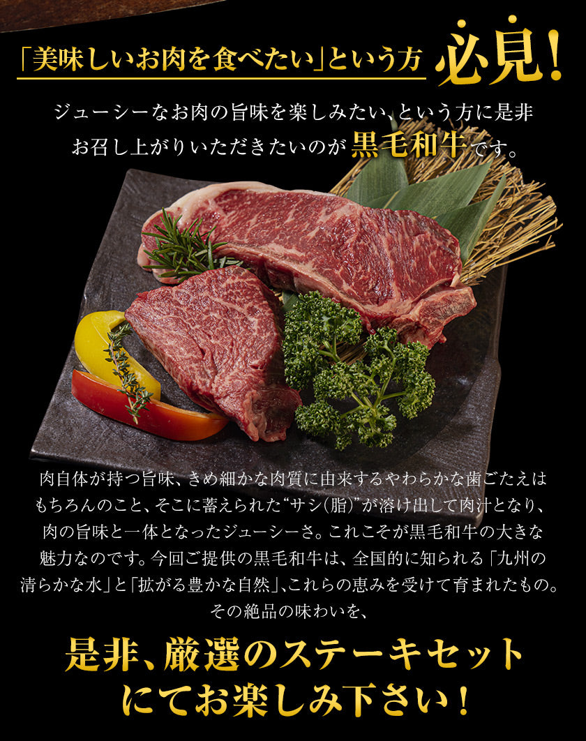 【50人シェア買い企画】九州産黒毛和牛 厳選ステーキセット ヒレ200g サーロイン300g