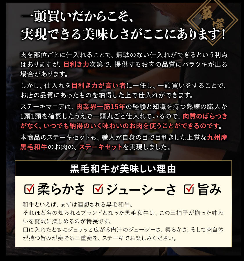 九州産黒毛和牛 厳選ステーキセット ヒレ200g サーロイン300g フードロス 食品ロス 削減支援 送料無料