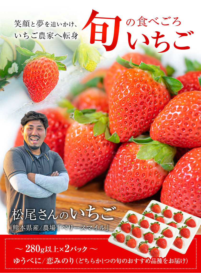 熊本県産 いちご 苺 ゆうべに 恋みのり 280g以上×2パック (24～36玉)  送料無料