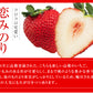 熊本県産 いちご 苺 ゆうべに 恋みのり 280g以上×2パック (24～36玉)  送料無料