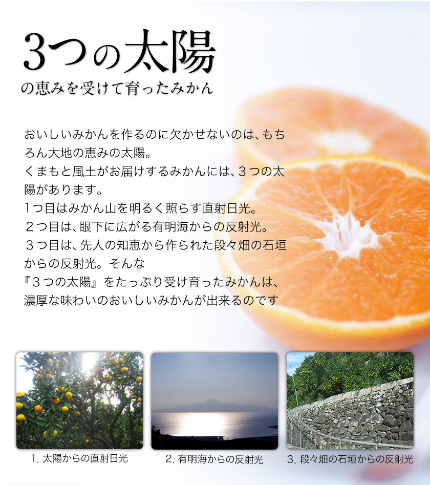 【30人シェア買い企画】和菓子 高級 ギフト お取り寄せ まるごと みかん 大福 9個 送料無料