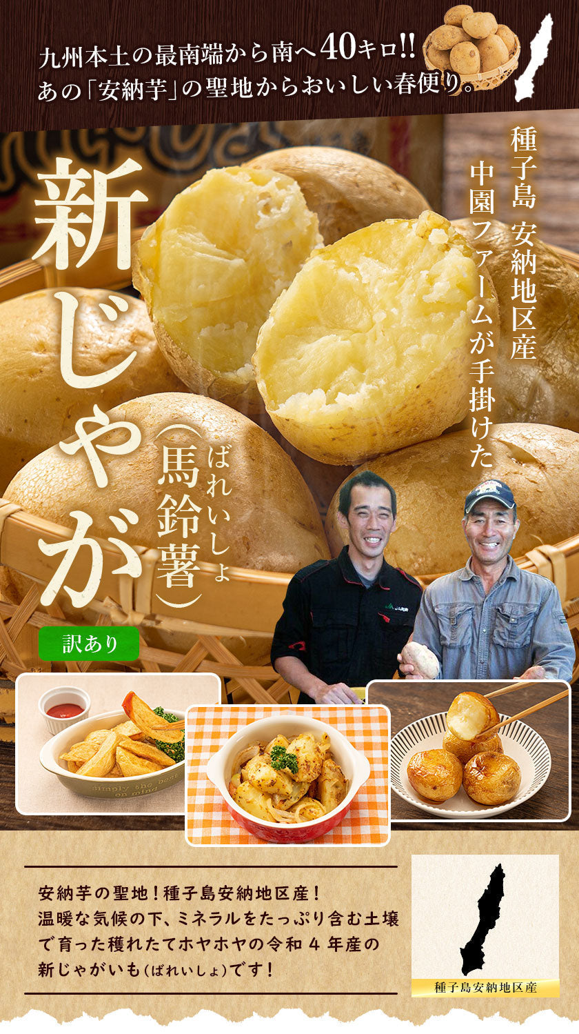 中園ファームのじゃがいも 新じゃが (馬鈴薯) 訳あり 4.5kg (M～2Lサイズ混合) 種子島産 ジャガイモ 芋 野菜 お取り寄せ
