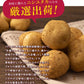 中園ファームのじゃがいも 新じゃが (馬鈴薯) 訳あり 4.5kg (M～2Lサイズ混合) 種子島産 ジャガイモ 芋 野菜 お取り寄せ