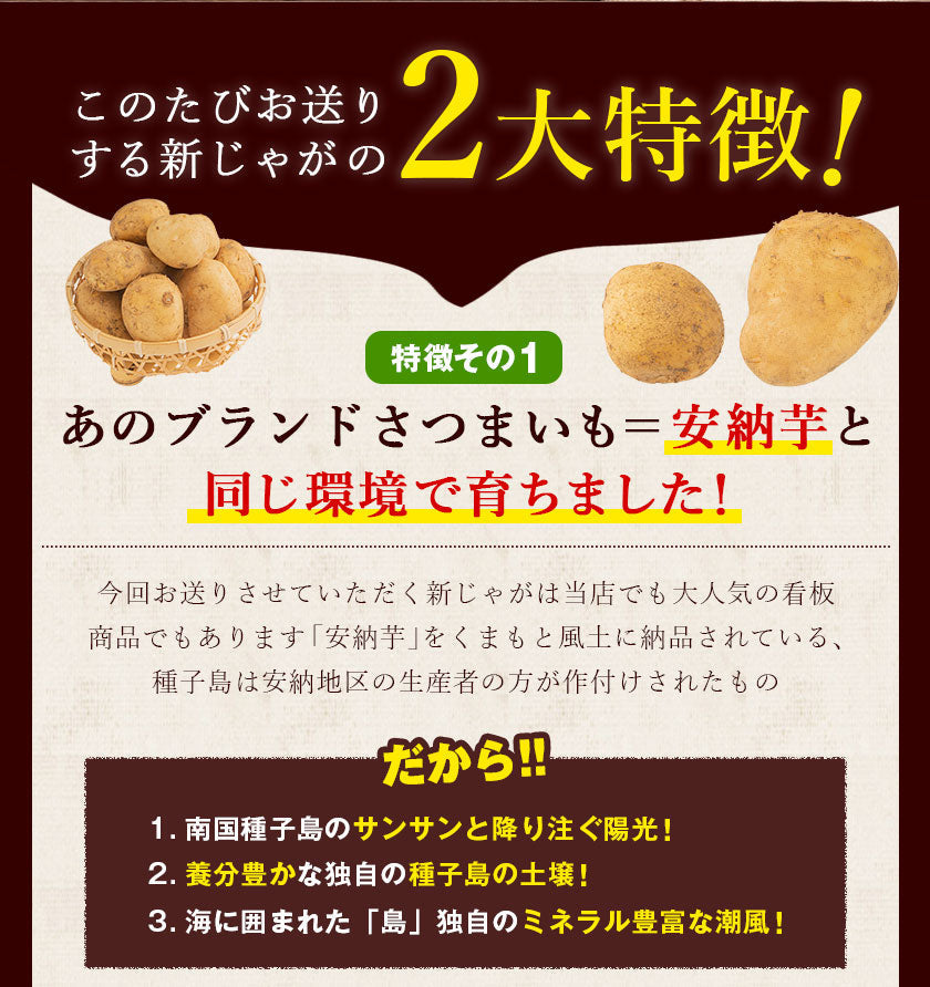 中園ファームのじゃがいも 新じゃが (馬鈴薯) 訳あり 4.5kg (M～2Lサイズ混合) 種子島産 ジャガイモ 芋 野菜 お取り寄せ