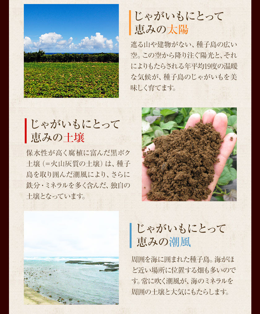 中園ファームのじゃがいも 新じゃが (馬鈴薯) 訳あり 4.5kg (M～2Lサイズ混合) 種子島産 ジャガイモ 芋 野菜 お取り寄せ