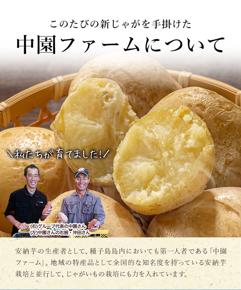 中園ファームのじゃがいも 新じゃが (馬鈴薯) 訳あり 4.5kg (M～2Lサイズ混合) 種子島産 ジャガイモ 芋 野菜 お取り寄せ