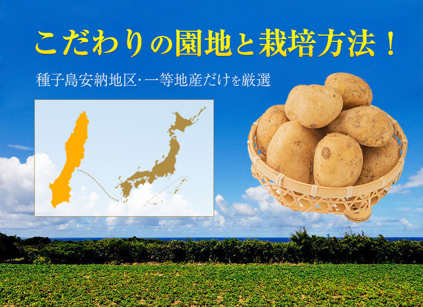 中園ファームのじゃがいも 新じゃが (馬鈴薯) 訳あり 4.5kg (M～2Lサイズ混合) 種子島産 ジャガイモ 芋 野菜 お取り寄せ
