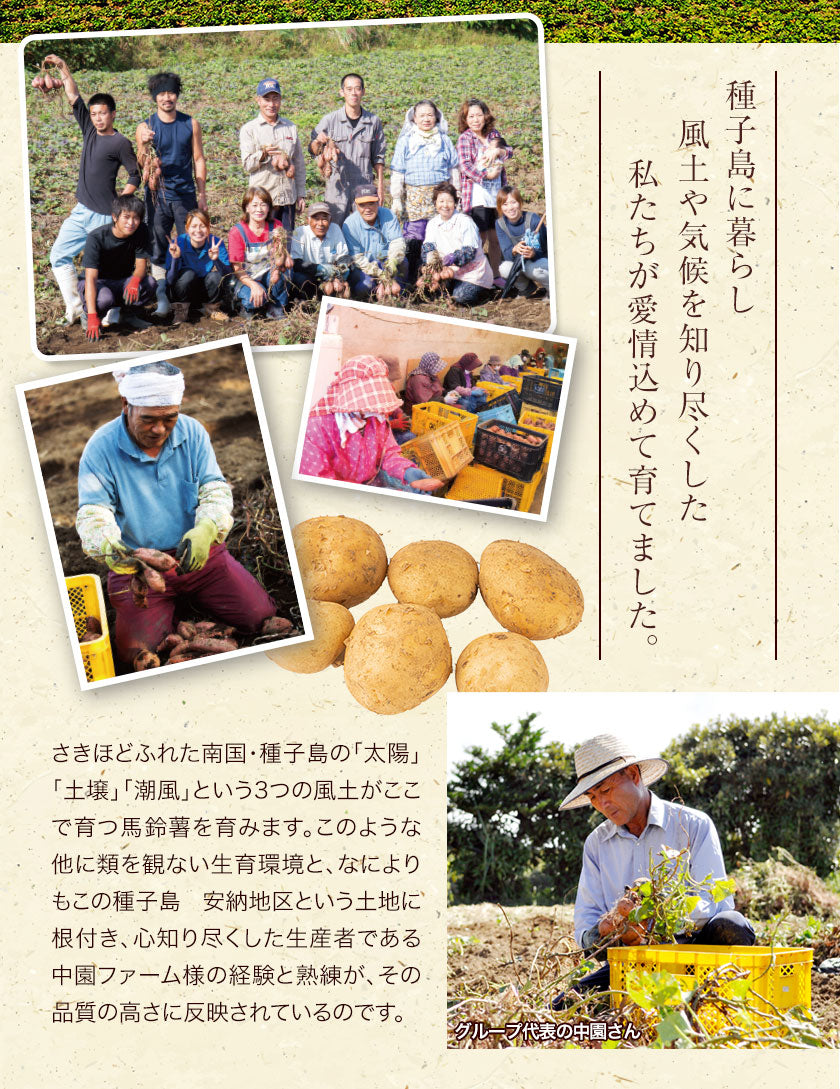 中園ファームのじゃがいも 新じゃが (馬鈴薯) 訳あり 10kg (M～2Lサイズ混合)