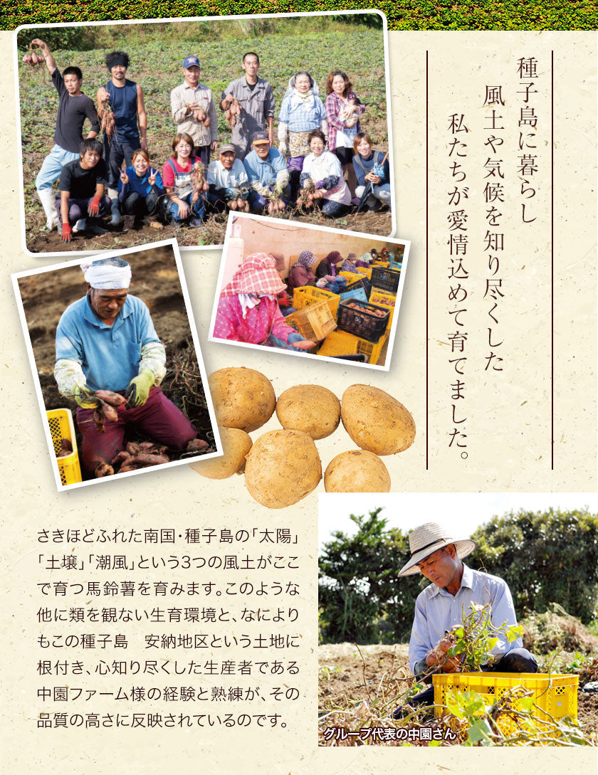 中園ファームのじゃがいも 新じゃが (馬鈴薯) 訳あり 4.5kg (M～2Lサイズ混合) 種子島産 ジャガイモ 芋 野菜 お取り寄せ