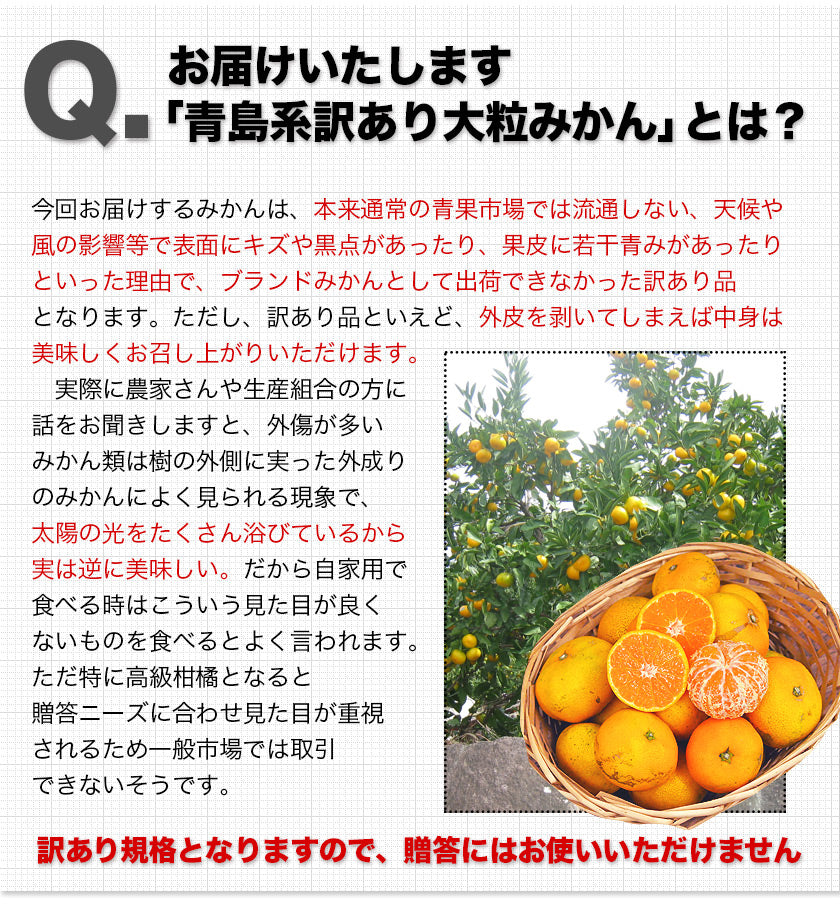 大粒 みかん 訳あり 4kg
