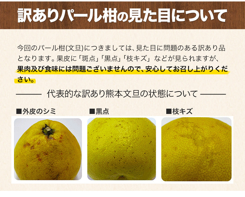 訳あり 文旦 ぶんたん パール柑 4kg
