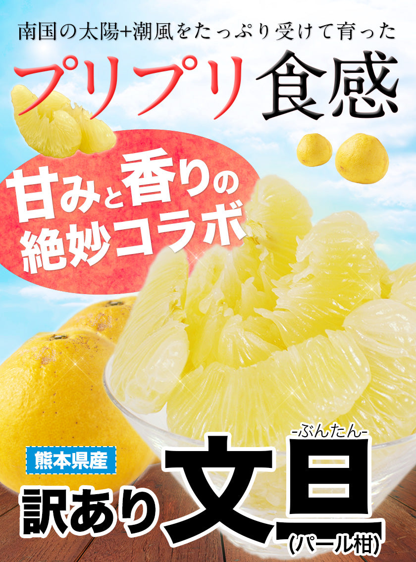 訳あり 文旦 ぶんたん パール柑 4kg