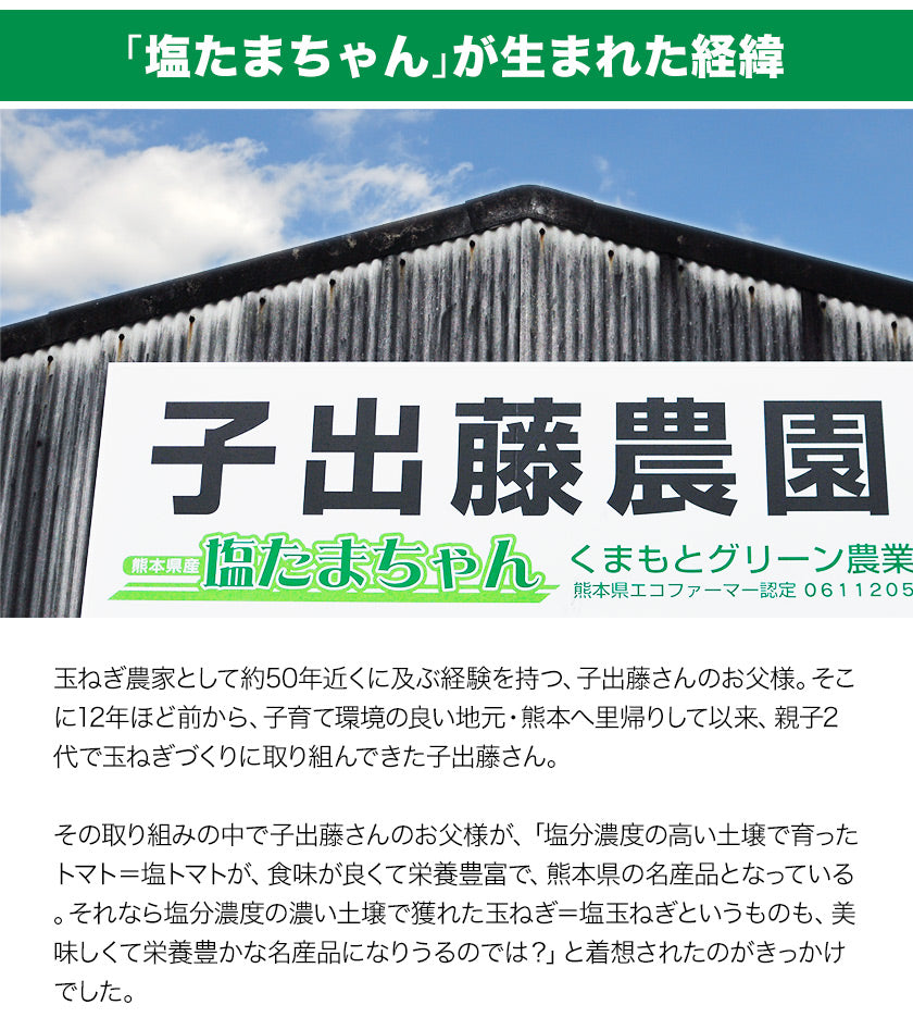 熊本県産 訳あり 塩たまちゃん 玉ねぎ たまねぎ 5kg 【5L-2Sサイズ不選別】 子出藤 (ねでふじ)